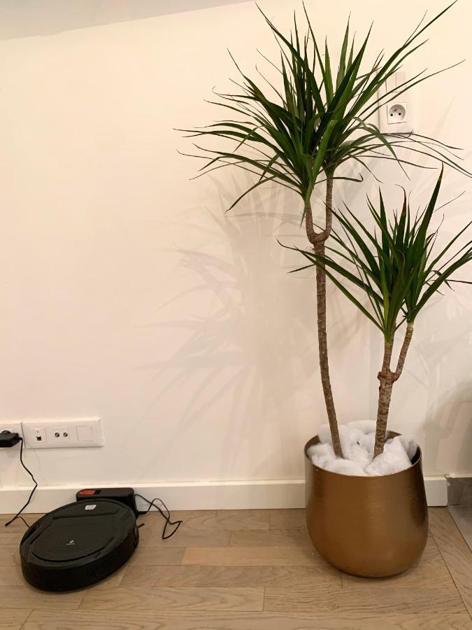 Le Bali Cosy House - T2 Lumineux Et Moderne En Plein Centre Ville De מזון-אלפורט מראה חיצוני תמונה