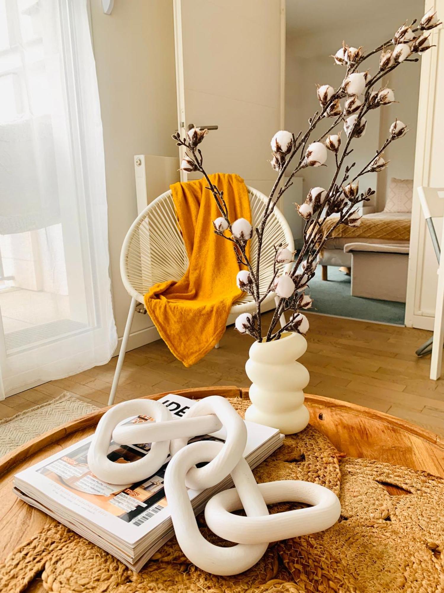 Le Bali Cosy House - T2 Lumineux Et Moderne En Plein Centre Ville De מזון-אלפורט מראה חיצוני תמונה